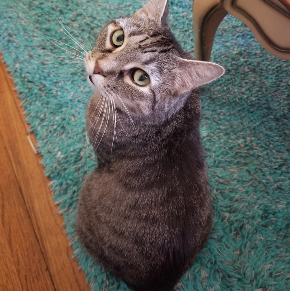 Meet Your Poshers, Gina and Keke! - Picture 6 of 11